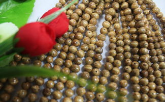 天然小金鐘菩提108粒佛珠 廠家直銷(xiāo)，佛教用品與中藥材的跨界銷(xiāo)售新思路